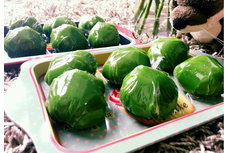 清明時節(jié)吃什么美食？全國各地18種清明美食大集合（多圖）